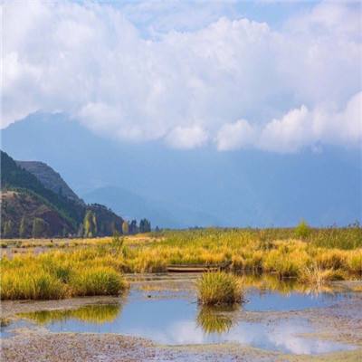 侠客江湖破解版下载